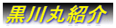 ����ۏЉ�