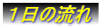 �P���̗���